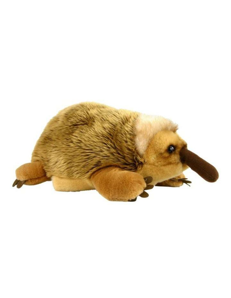 Soft & Plush Toys * | Korimco Echidna Body Puppet 32Cm