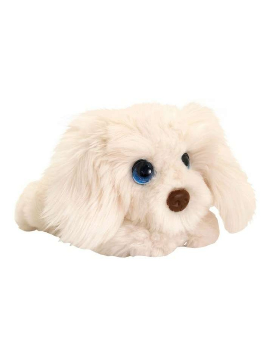 Soft & Plush Toys * | Korimco Cuddle Pup Labradoodle 37Cm