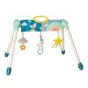 Soft & Plush Toys * | Taf Toys Mini Moon Take To Play Baby Gym Assorted