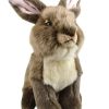 Soft & Plush Toys * | Korimco Lil Friends Bunny 18Cm Plush Toy Brown