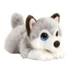 Soft & Plush Toys * | Korimco Cuddle Pup Husky 32Cm Plush Toy Grey