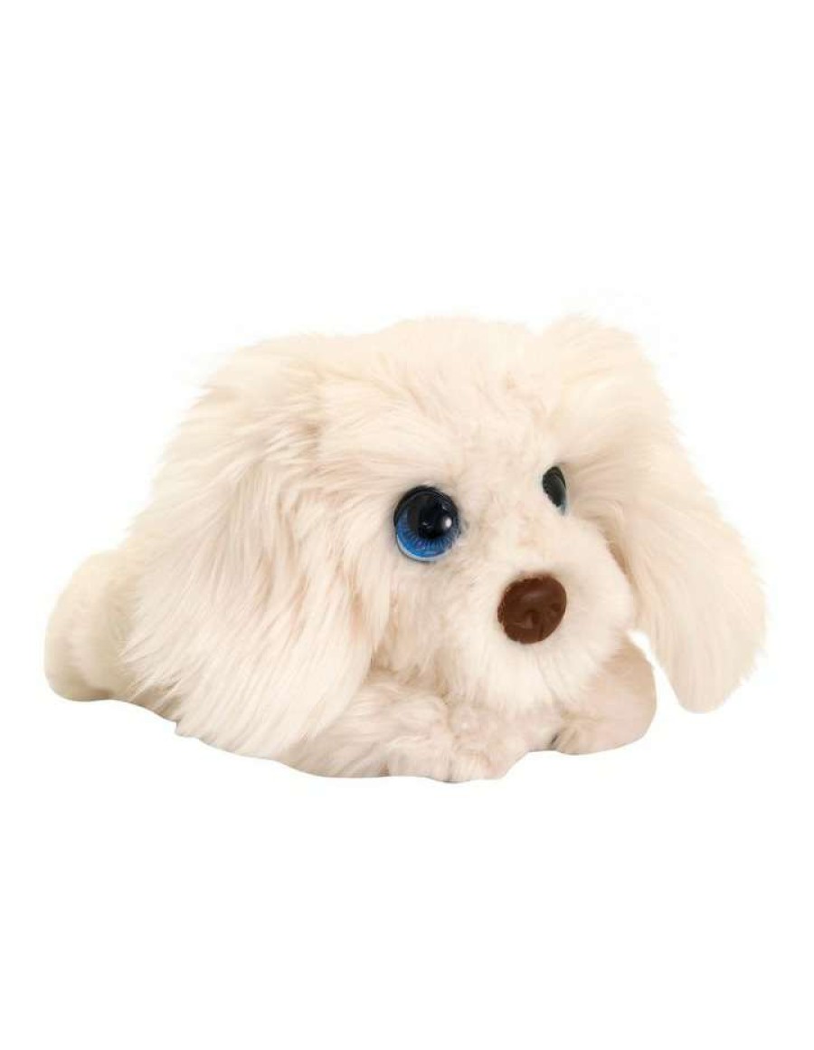 Soft & Plush Toys * | Korimco Cuddle Pup Labradoodle 32Cm Toy Beige